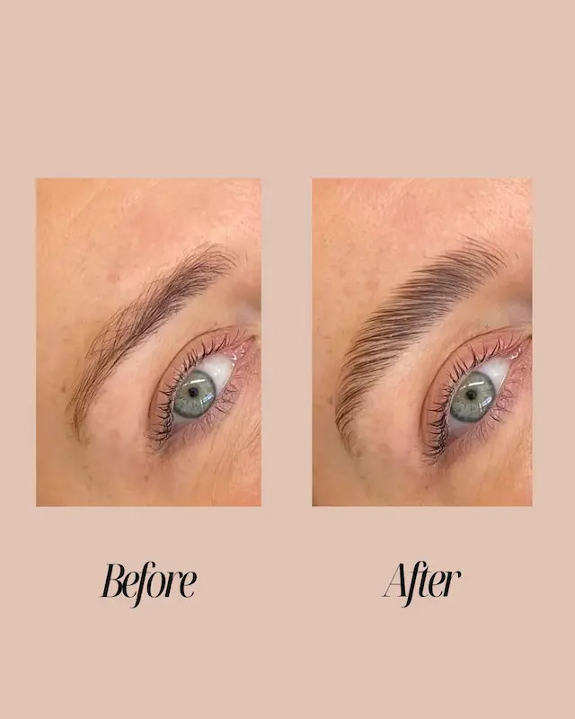 ژل ابرو تیوپی شیگلم (لیفت) مدل Brow Breakdown Brow Gel